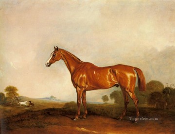 horse cats Painting - A Chestnut Hunter In A Landscape horse John Ferneley Snr